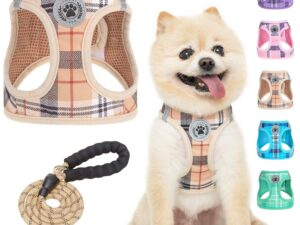 BEAUTYZOO Small Dog Harness and Leash Set,Step in No Chock No Pull Soft Mesh Dog Harnesses Reflective for Extra Small Medium Puppy Dogs and Cats, Plaid Dog Vest Harness for XS S...