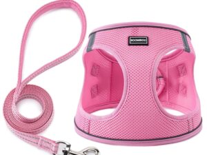 BOOMIBOO Dog Harness with Leash Set, No Pull Adjustable Reflective Step-in Puppy Pet Vest Harnesses for Small Medium Large Dogs and Cats,Pink XXS
