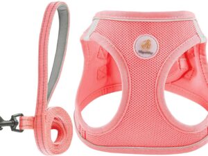 Dog Harness and Leash Set, No Pull Soft Mesh Puppy Harness for Small Medium Dogs, Cats - Step in Reflective Breathable Lightweight Vest Harness for Walking, Training - Pink, XS