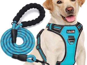 No Pull Dog Harness Adjustable Reflective Oxford Easy Control Medium Large Dog Harness with A Free Heavy Duty 5ft Dog Leash (L (Neck: 18"-25.5", Chest: 24.5"-33"), Blue...