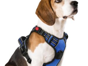rabbitgoo Dog Harness Medium Sized, No Pull Pet Harness with 3 Buckles, Adjustable Soft Padded Vest with Control Handle, Walking Reflective Pet Vest for Medium Dogs, Blue, M