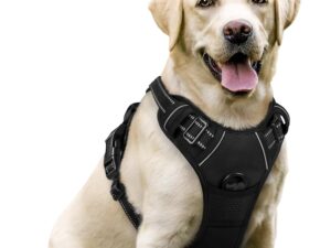 rabbitgoo Dog Harness No Pull with 2 Leash Clips, Adjustable Soft Padded, Reflective Oxford No Choke Pet Vest with Easy Control Handle for Large Dogs, Black, L