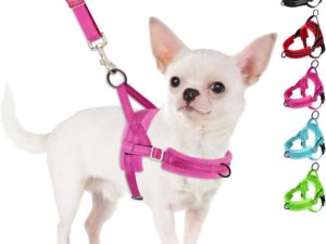 SlowTon No Pull Small Dog Harness and Leash Set, Puppy Soft Vest Harness Neck & Chest Adjustable, Reflective Lightweight Harness & Anti-Twist Pet Lead Combo for Small Medium...